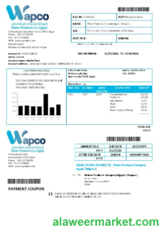 Egypt Water Products Company Egypt Wapco business utility bill template